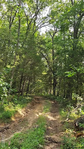 $836,496 | 116.18 Acres Highway, Bellflower, MO 63333