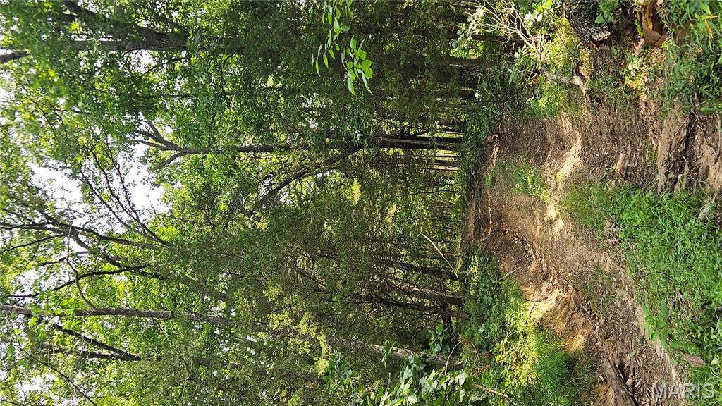 116.18 Acres Highway Bellflower, MO 63333 - Photo 24 of 28