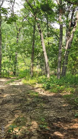 $836,496 | 116.18 Acres Highway, Bellflower, MO 63333