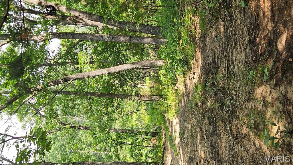 116.18 Acres Highway Bellflower, MO 63333 - Photo 25 of 28