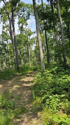 $836,496 | 116.18 Acres Highway, Bellflower, MO 63333