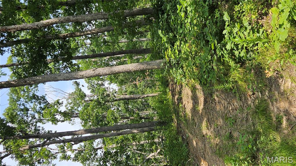 116.18 Acres Highway Bellflower, MO 63333 - Photo 26 of 28