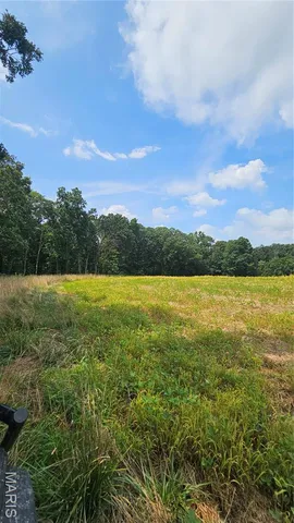 $836,496 | 116.18 Acres Highway, Bellflower, MO 63333