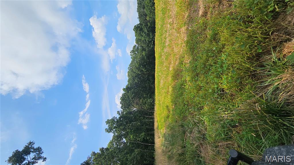 116.18 Acres Highway Bellflower, MO 63333 - Photo 27 of 28