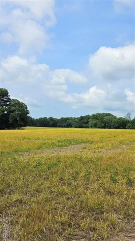 $836,496 | 116.18 Acres Highway, Bellflower, MO 63333