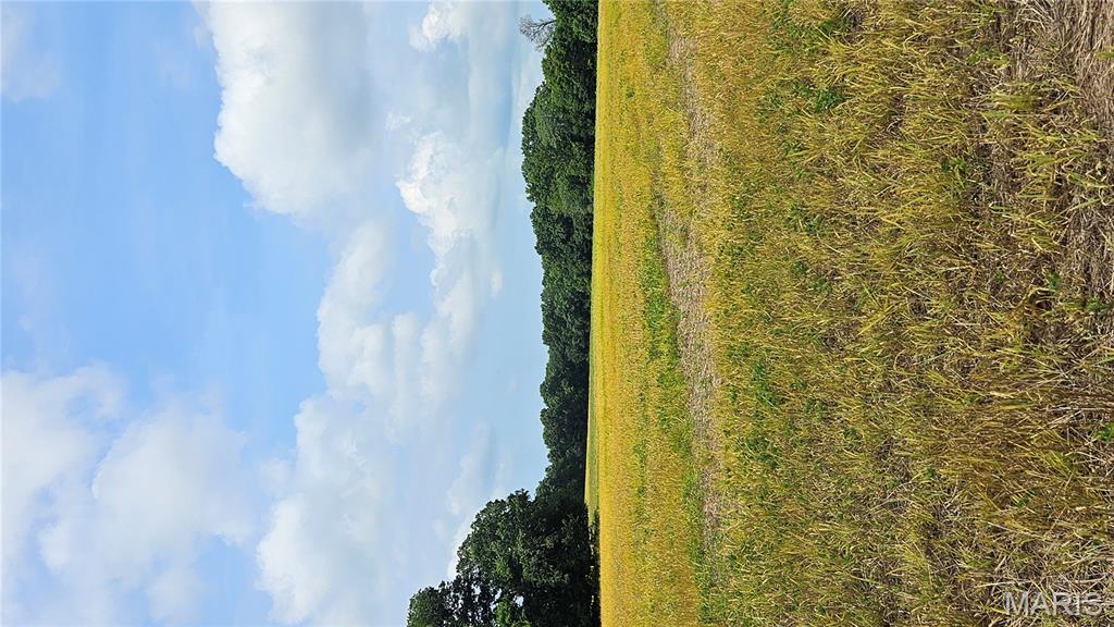 116.18 Acres Highway Bellflower, MO 63333 - Photo 28 of 28