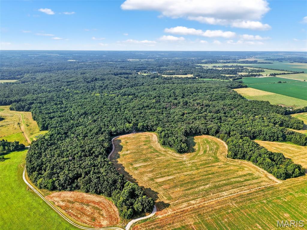 116.18 Acres Highway Bellflower, MO 63333 - Photo 3 of 28