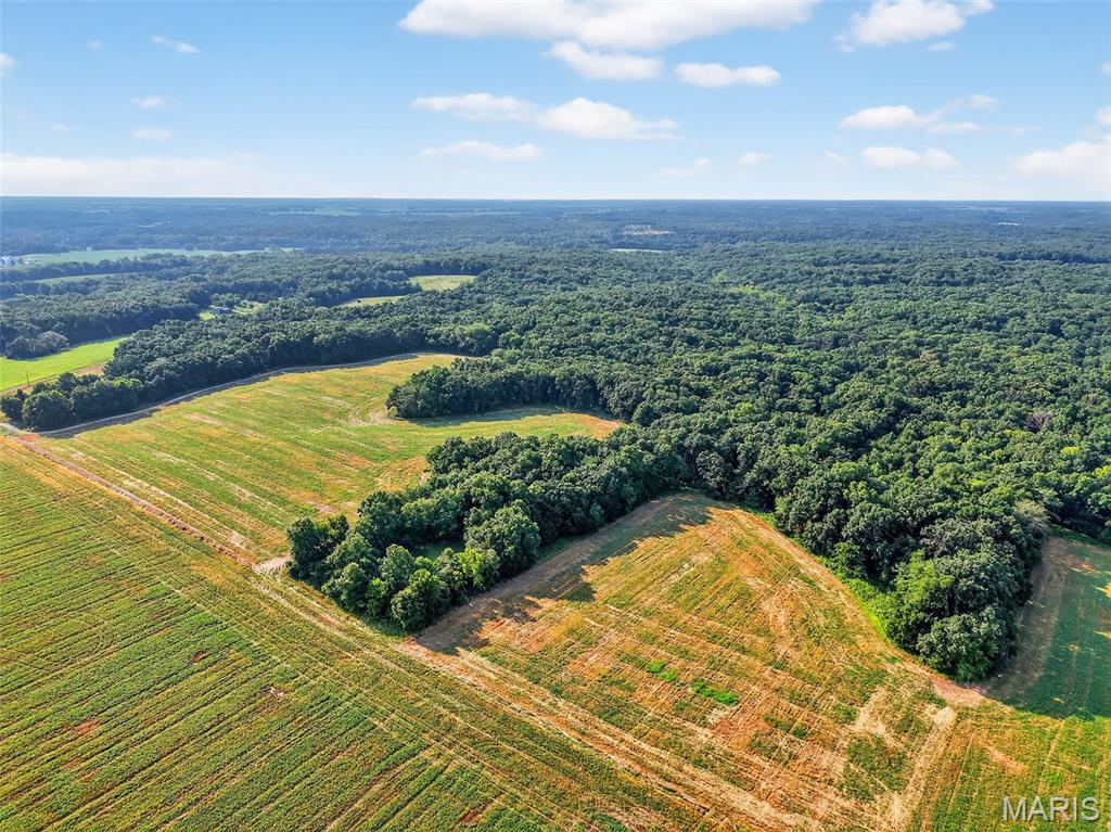 116.18 Acres Highway Bellflower, MO 63333 - Photo 4 of 28