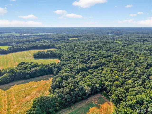 $836,496 | 116.18 Acres Highway, Bellflower, MO 63333