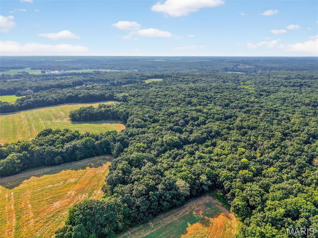 116.18 Acres Highway Bellflower, MO 63333 - Photo 6 of 28