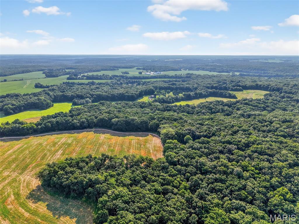 116.18 Acres Highway Bellflower, MO 63333 - Photo 7 of 28