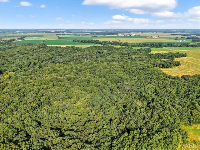 $836,496 | 116.18 Acres Highway, Bellflower, MO 63333