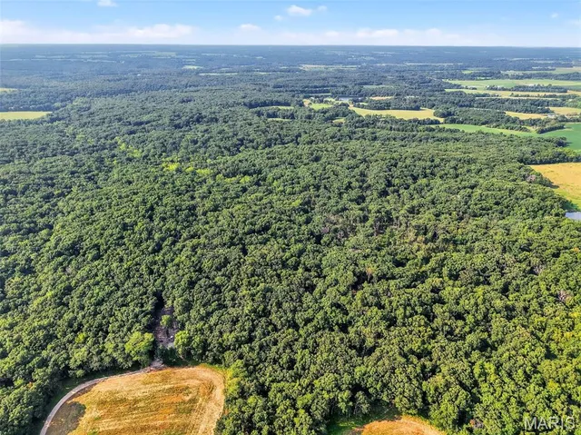 $836,496 | 116.18 Acres Highway, Bellflower, MO 63333