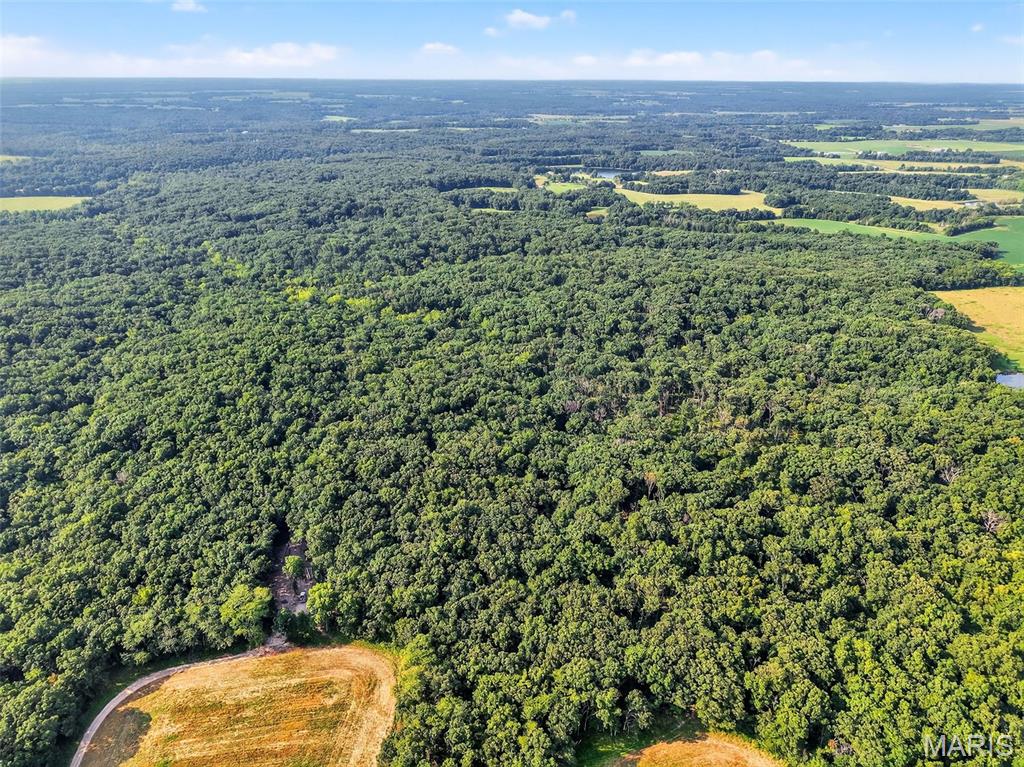 116.18 Acres Highway Bellflower, MO 63333 - Photo 9 of 28