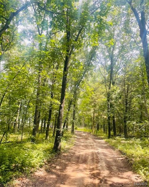 116.18 Acres Highway Bellflower, MO 63333 - Photo 10 of 28