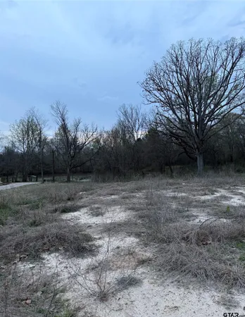 a view of a field with trees in the background