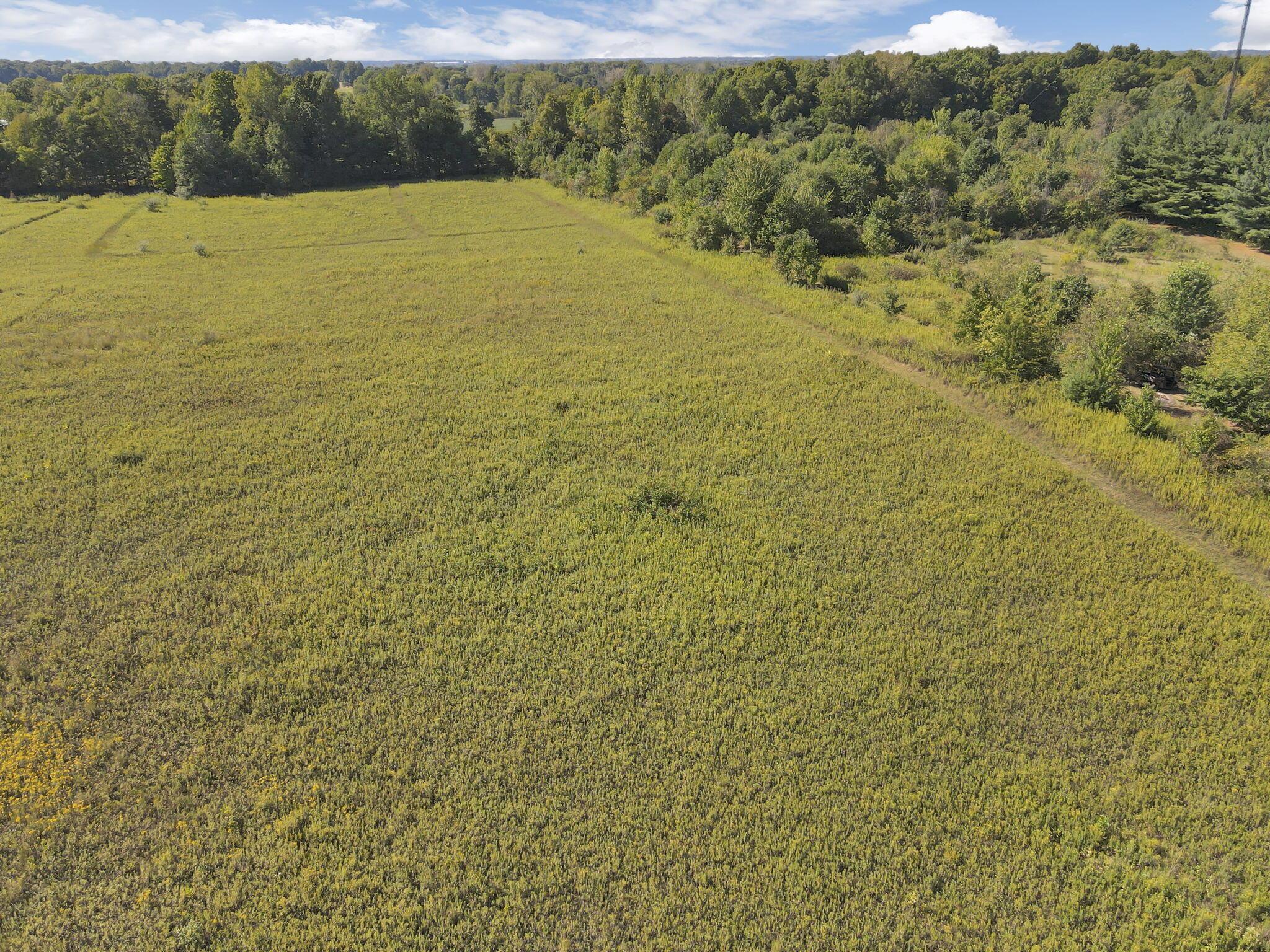 11261 Reussner Road Southwest Pataskala, OH 43062 - Photo 64 of 72 83-web-or-mls-dji_fly_20240905_110104_26
