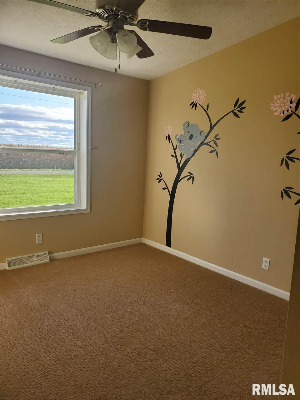 17715 Danner Road Pleasant Plains, IL 62677 - Photo 5 of 9
