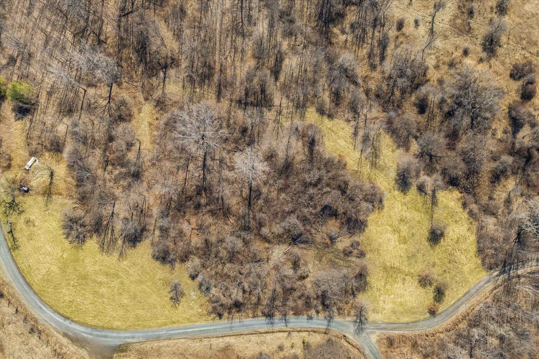 0 Applesauce Hill Road, Unit 3 Castleton, VT 05735 - Photo 21 of 33