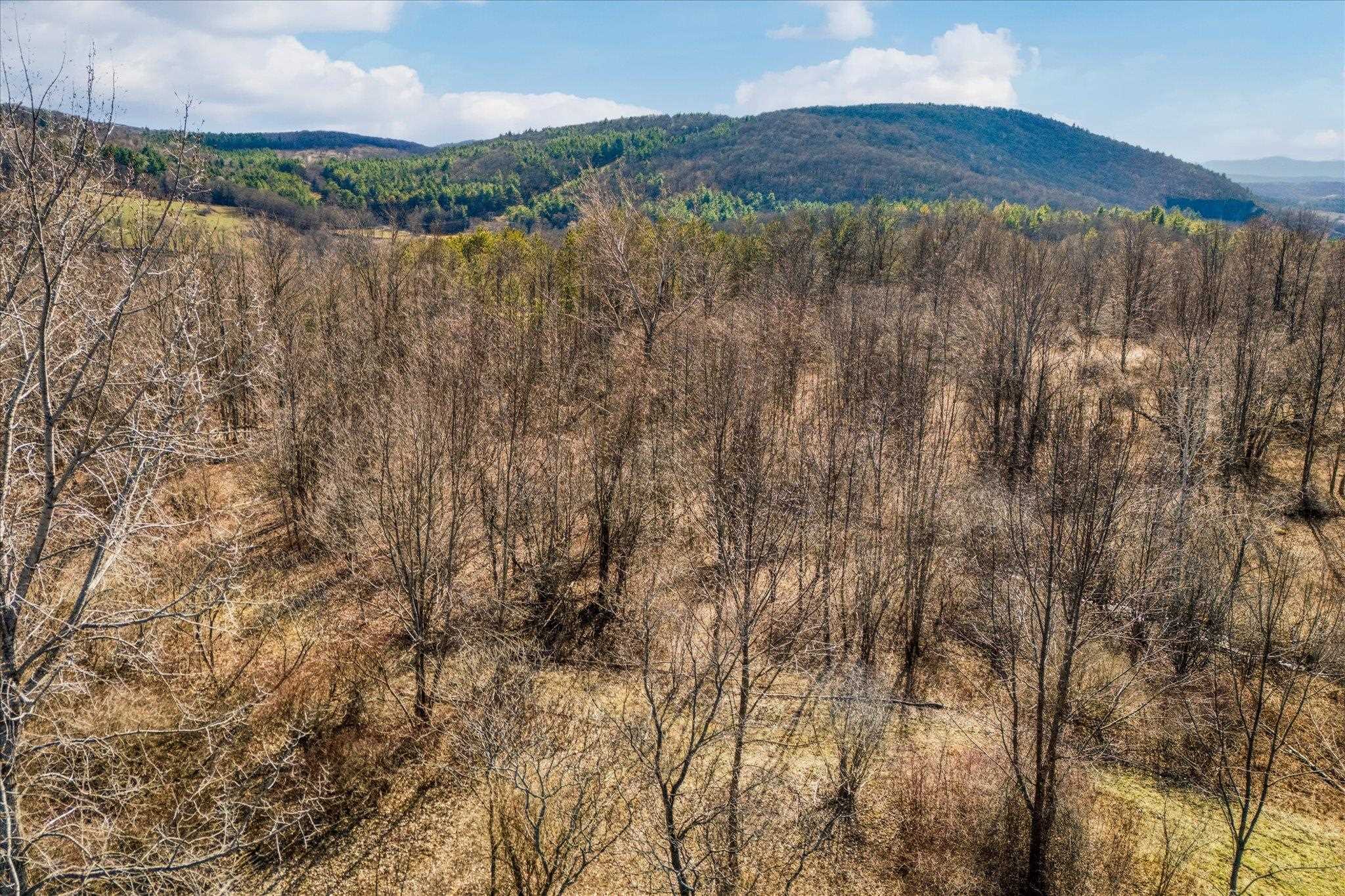 0 Applesauce Hill Road, Unit 3 Castleton, VT 05735 - Photo 22 of 33