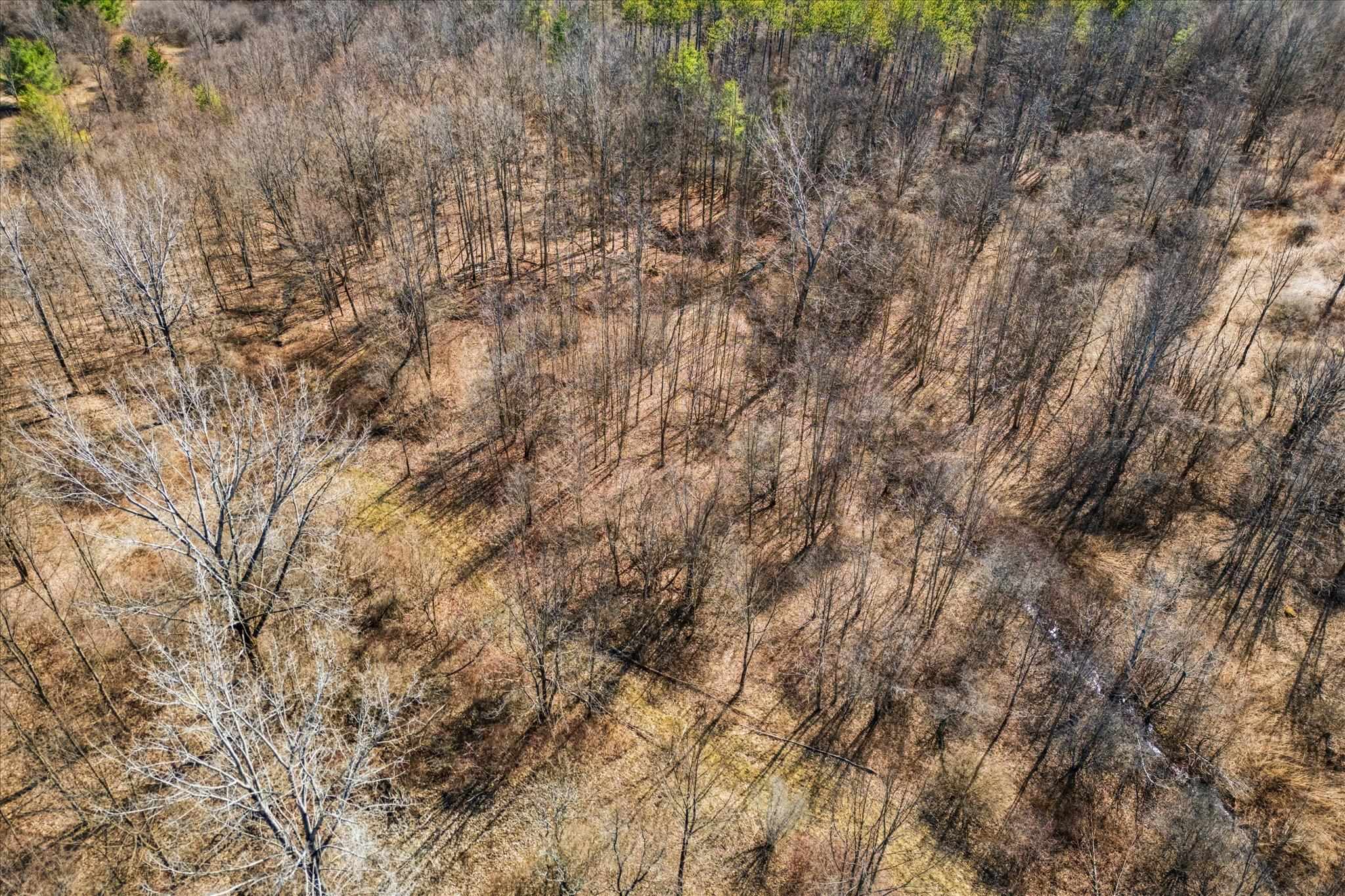 0 Applesauce Hill Road, Unit 3 Castleton, VT 05735 - Photo 24 of 33