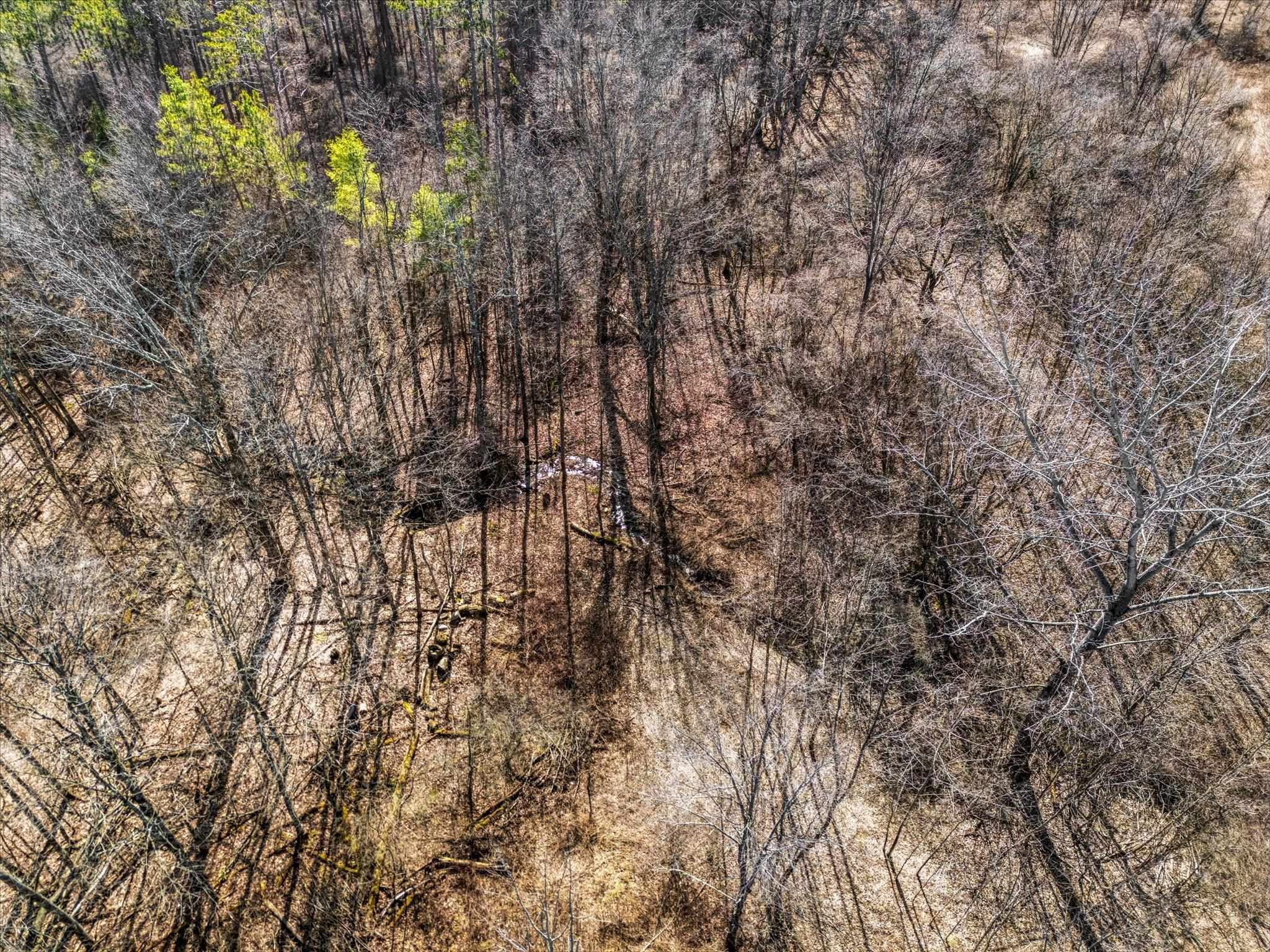 0 Applesauce Hill Road, Unit 3 Castleton, VT 05735 - Photo 25 of 33