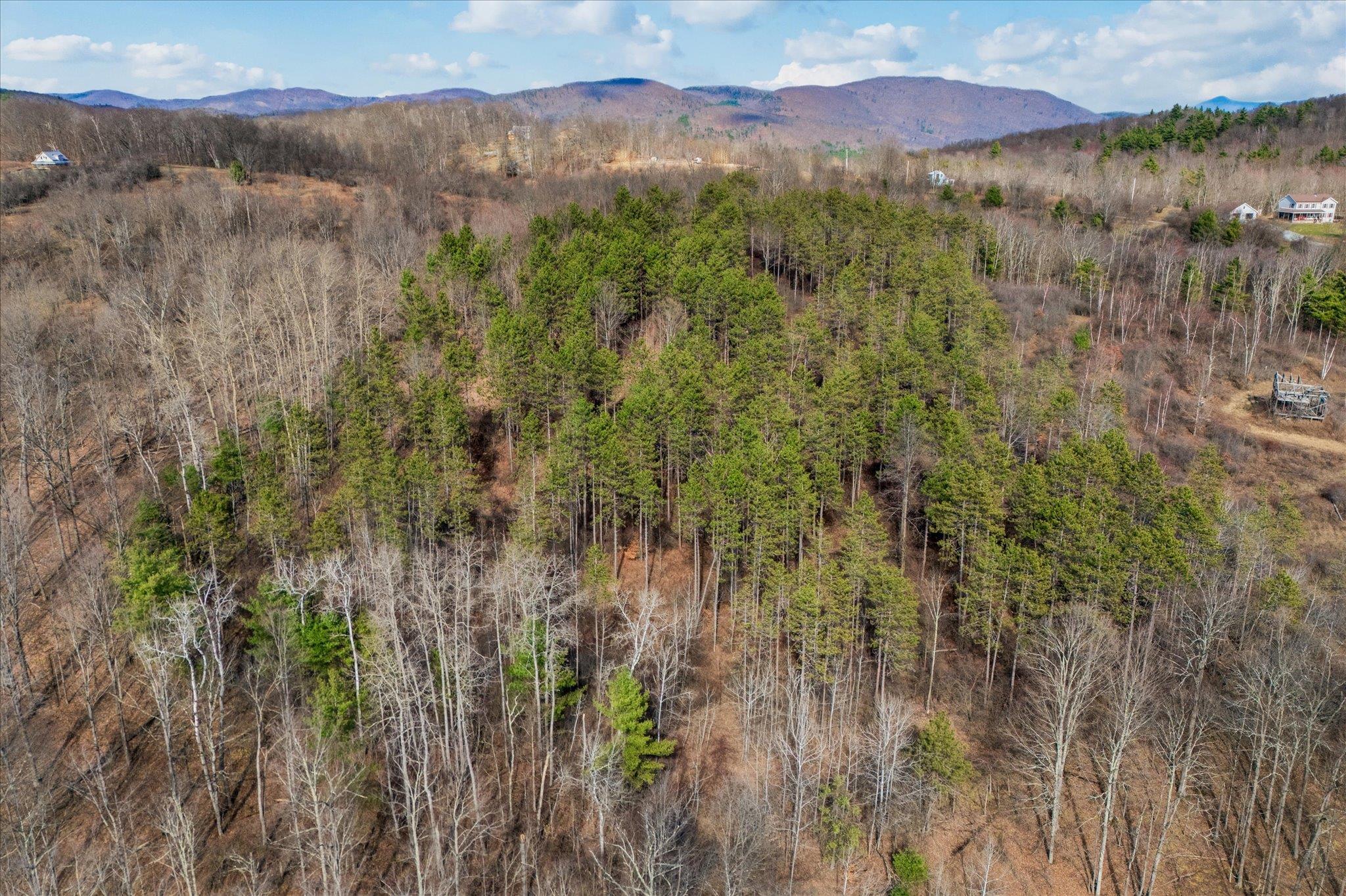 0 Applesauce Hill Road, Unit 3 Castleton, VT 05735 - Photo 26 of 33
