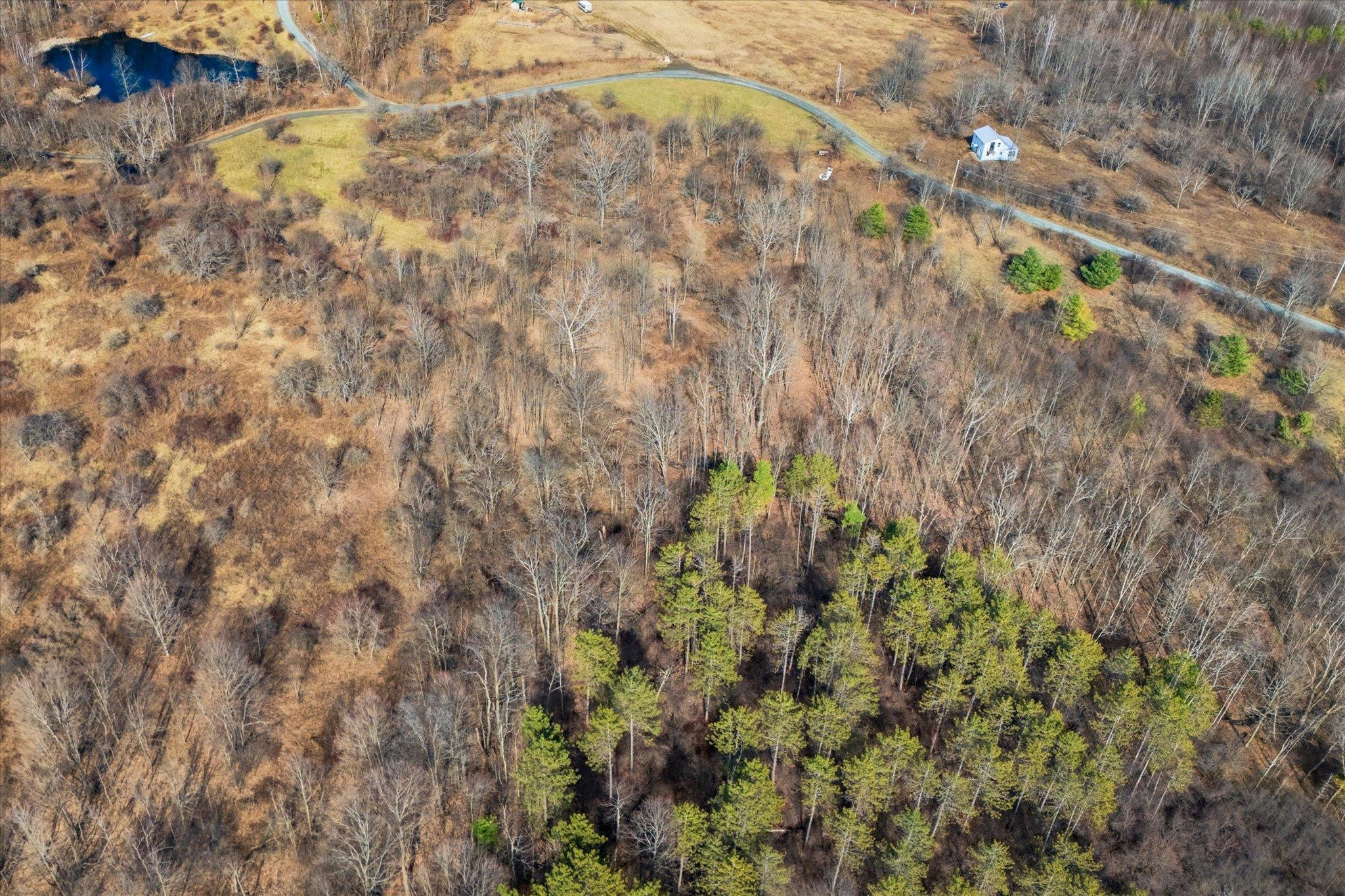 0 Applesauce Hill Road, Unit 3 Castleton, VT 05735 - Photo 27 of 33