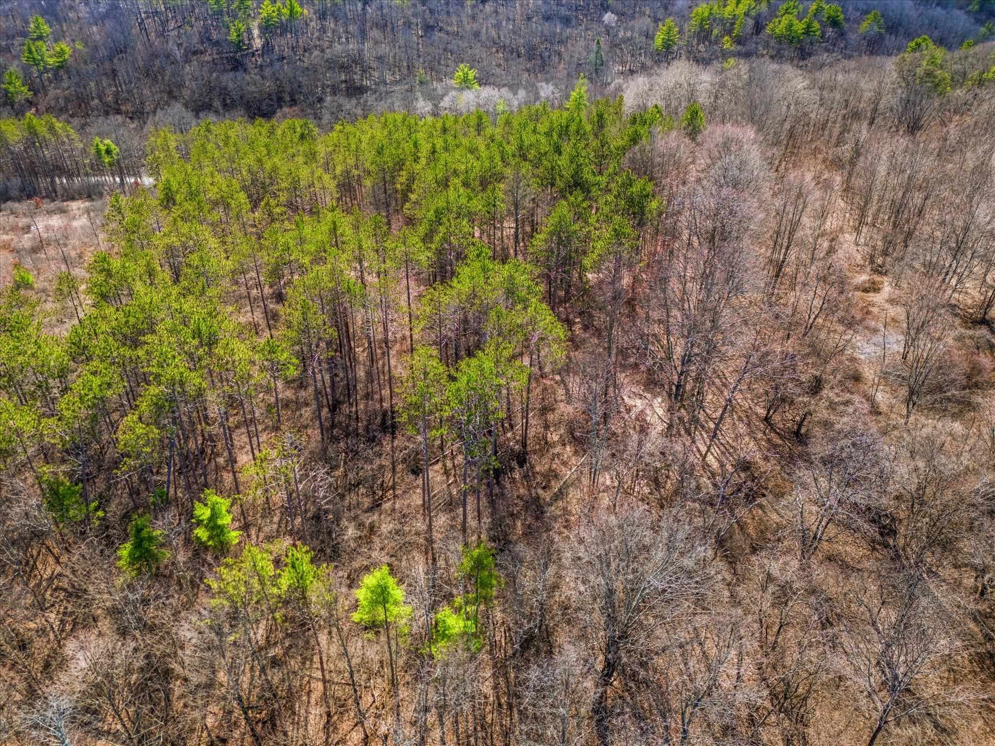 0 Applesauce Hill Road, Unit 3 Castleton, VT 05735 - Photo 28 of 33