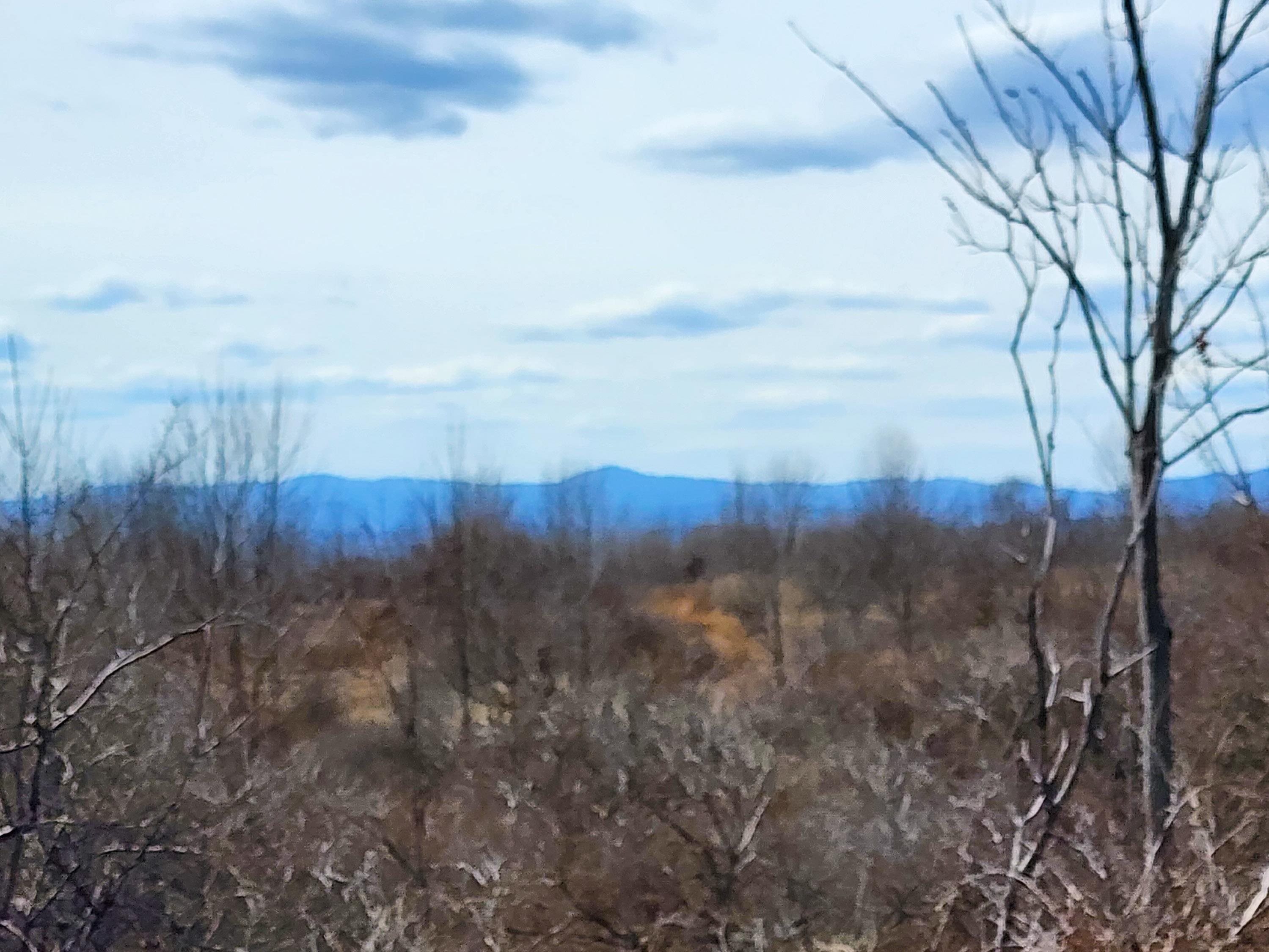 0 Applesauce Hill Road, Unit 3 Castleton, VT 05735 - Photo 29 of 33