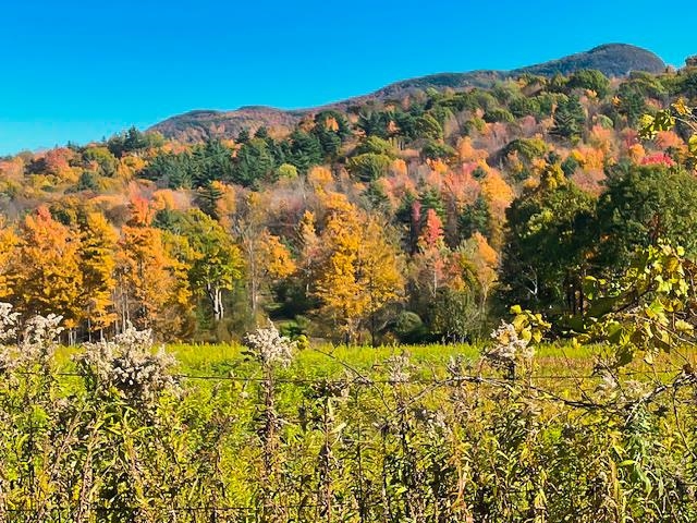0 Applesauce Hill Road, Unit 3 Castleton, VT 05735 - Photo 30 of 33