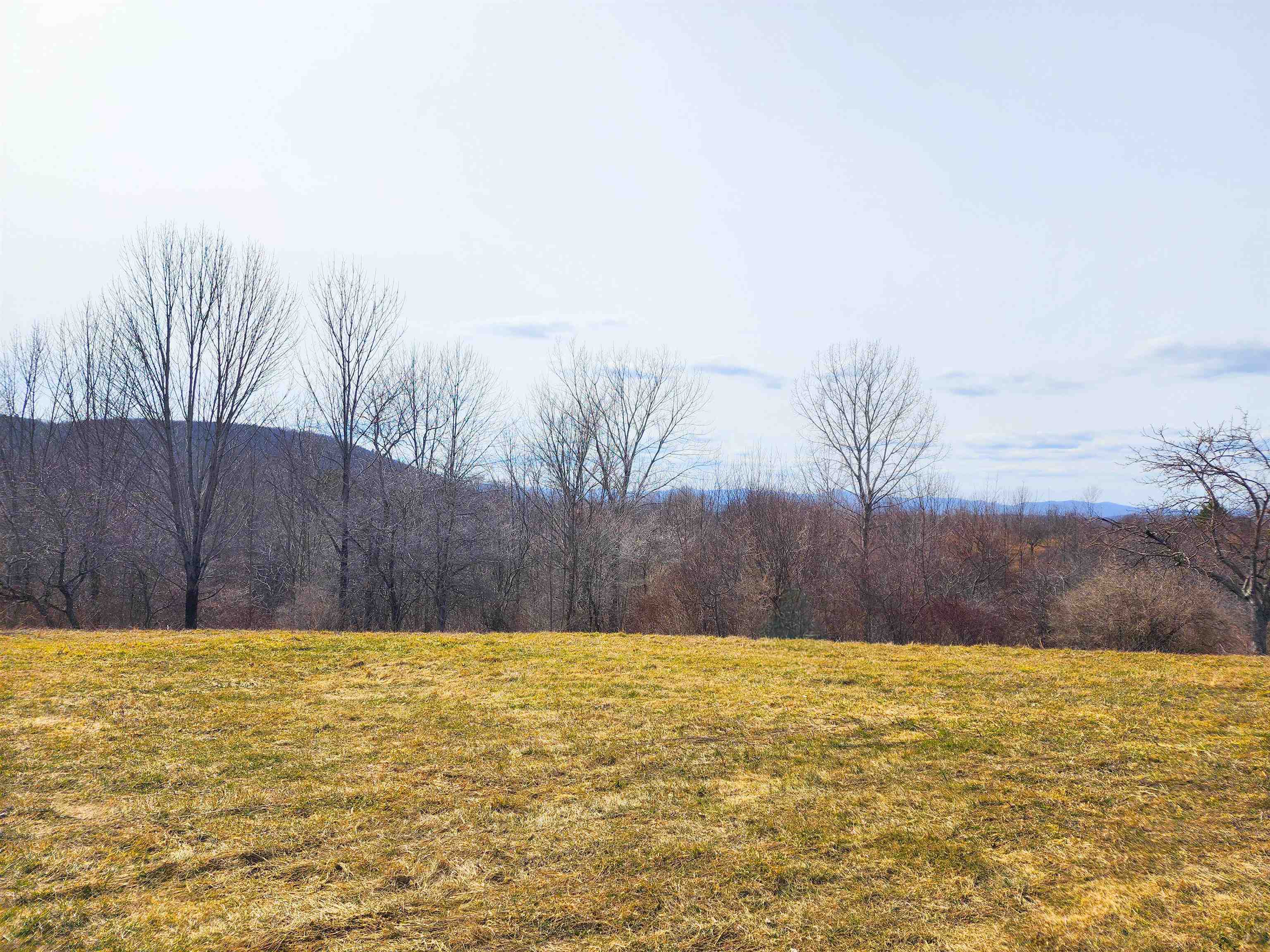 0 Applesauce Hill Road, Unit 3 Castleton, VT 05735 - Photo 3 of 33