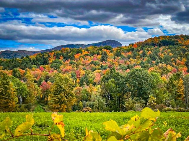 0 Applesauce Hill Road, Unit 3 Castleton, VT 05735 - Photo 31 of 33