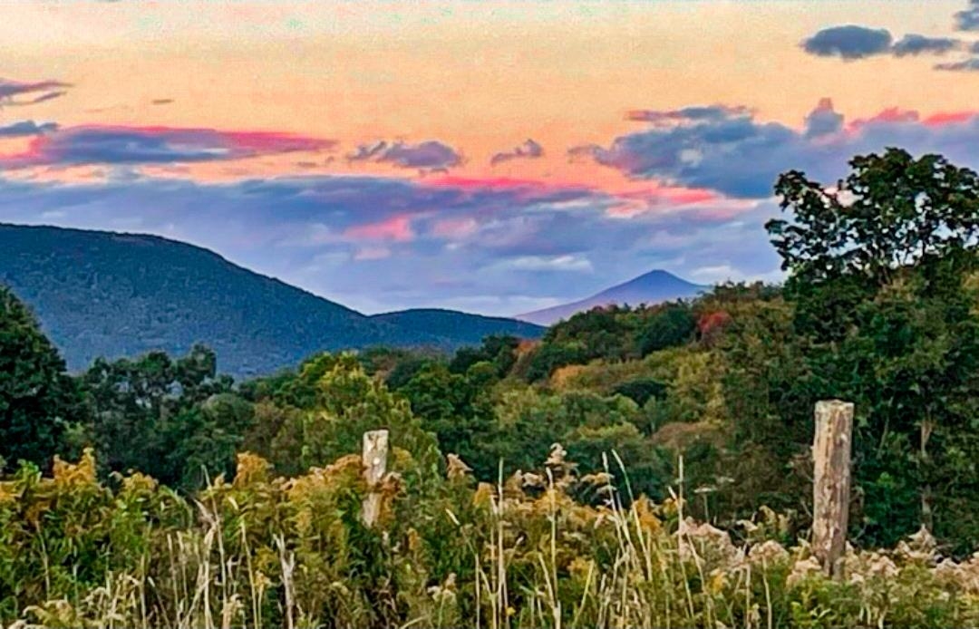 0 Applesauce Hill Road, Unit 3 Castleton, VT 05735 - Photo 33 of 33