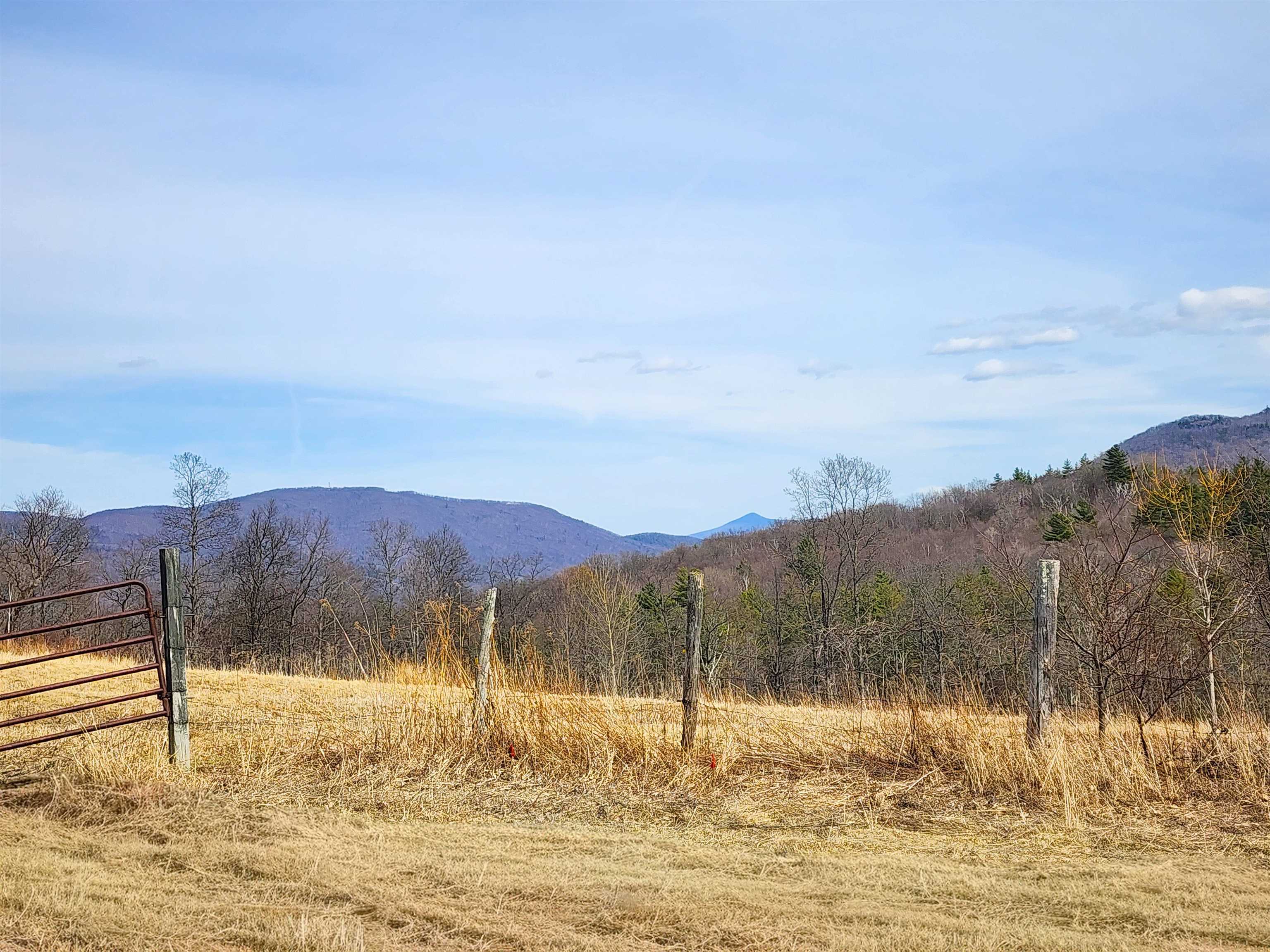 0 Applesauce Hill Road, Unit 3 Castleton, VT 05735 - Photo 4 of 33