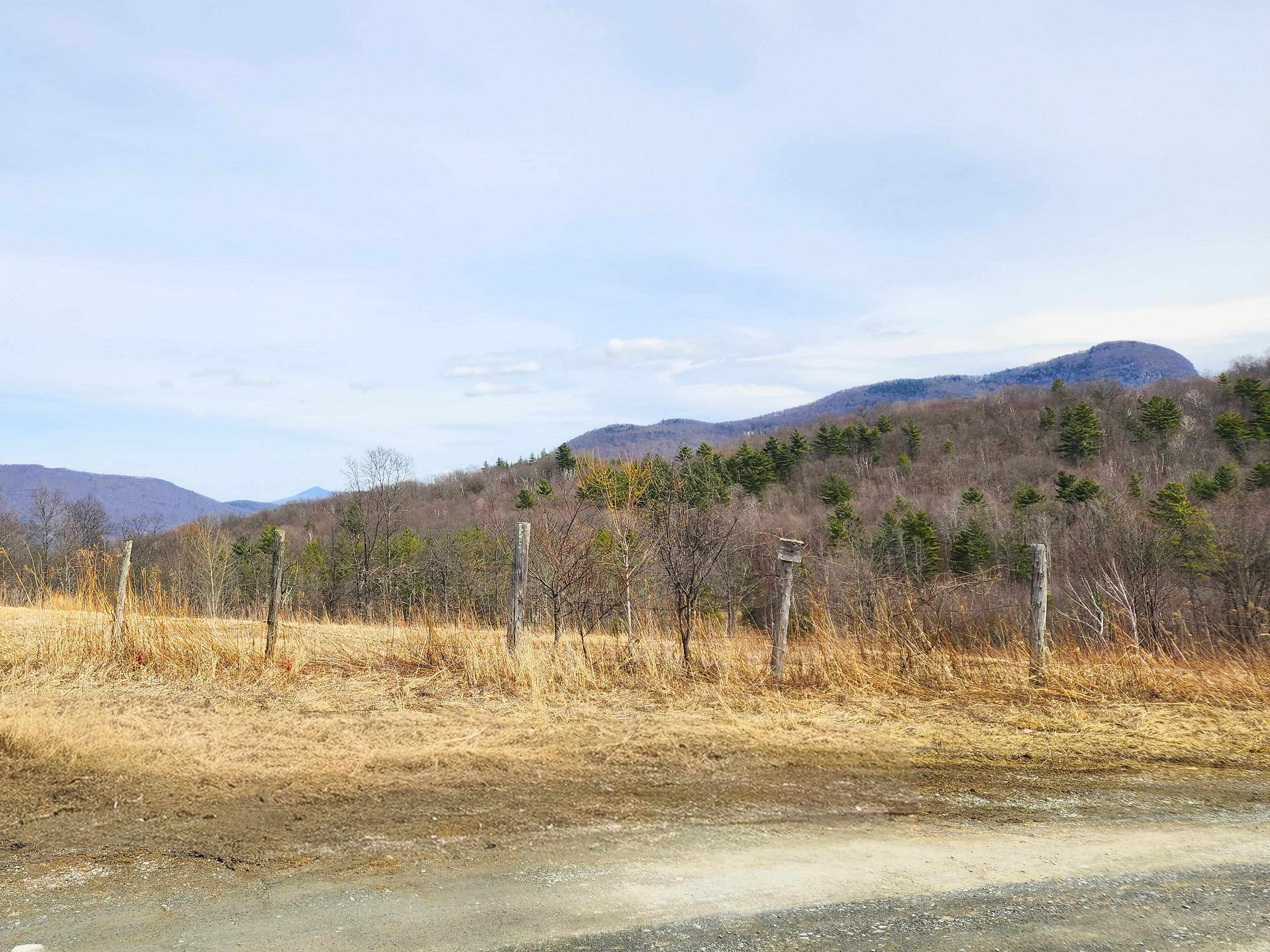 0 Applesauce Hill Road, Unit 3 Castleton, VT 05735 - Photo 5 of 33
