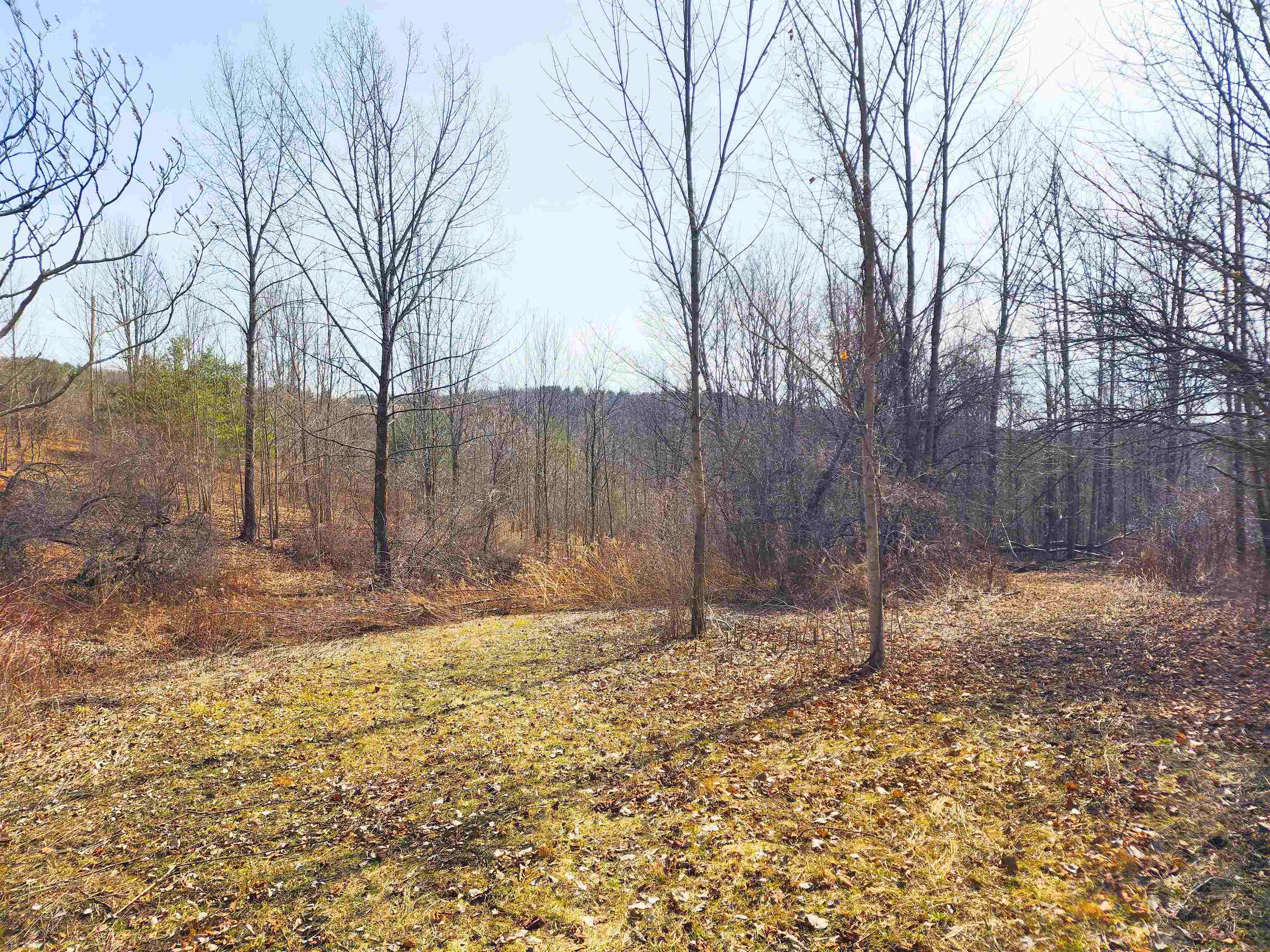 0 Applesauce Hill Road, Unit 3 Castleton, VT 05735 - Photo 7 of 33