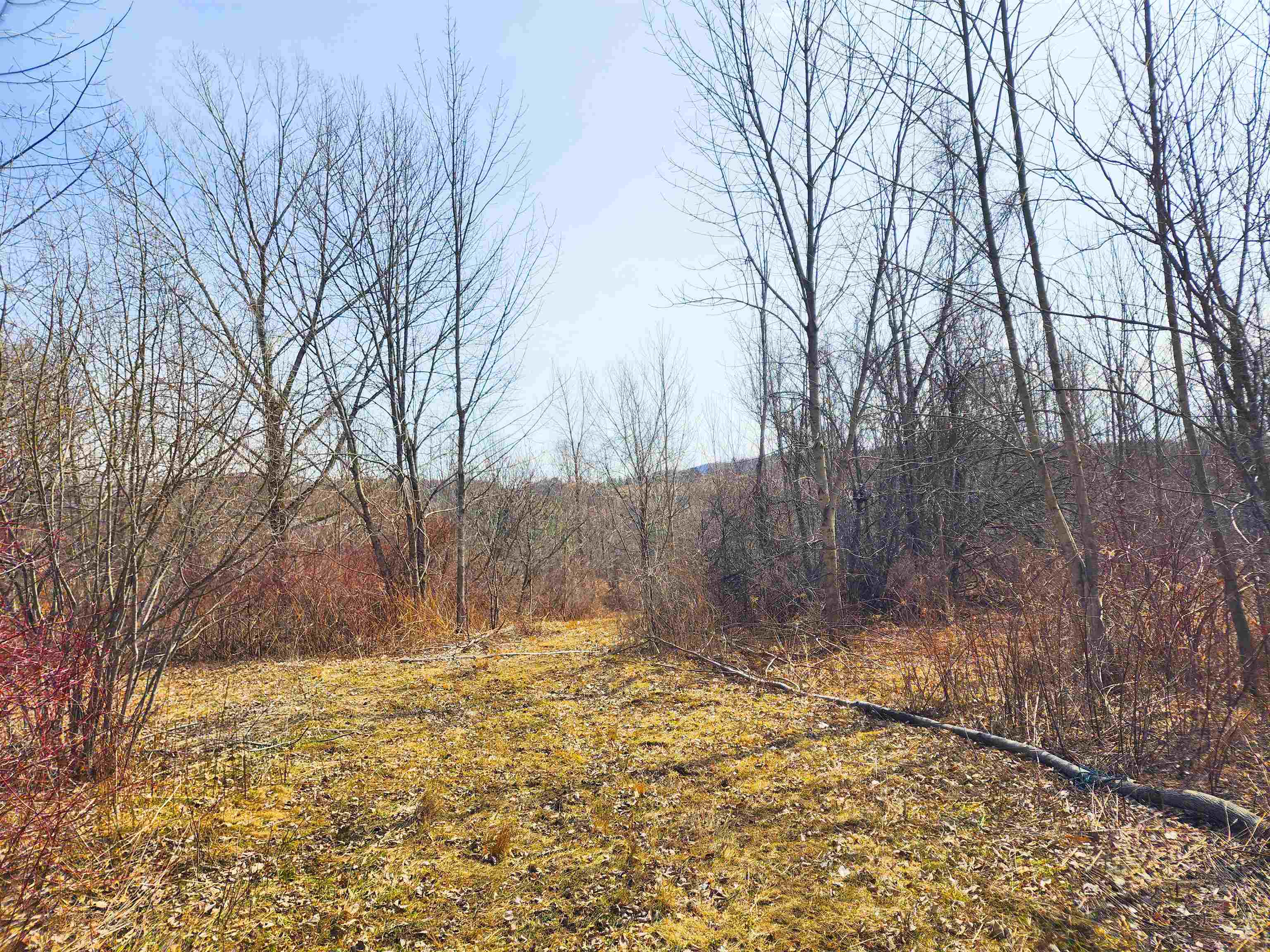 0 Applesauce Hill Road, Unit 3 Castleton, VT 05735 - Photo 8 of 33