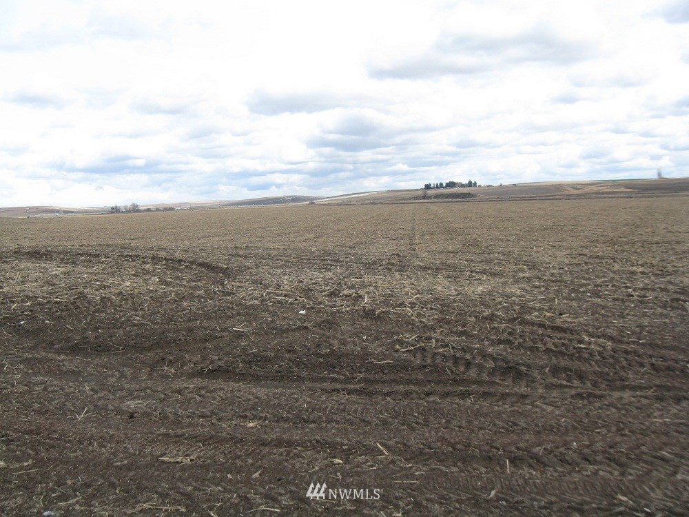 0 Rd U Southeast Warden, WA 98857 - Photo 1 of 1