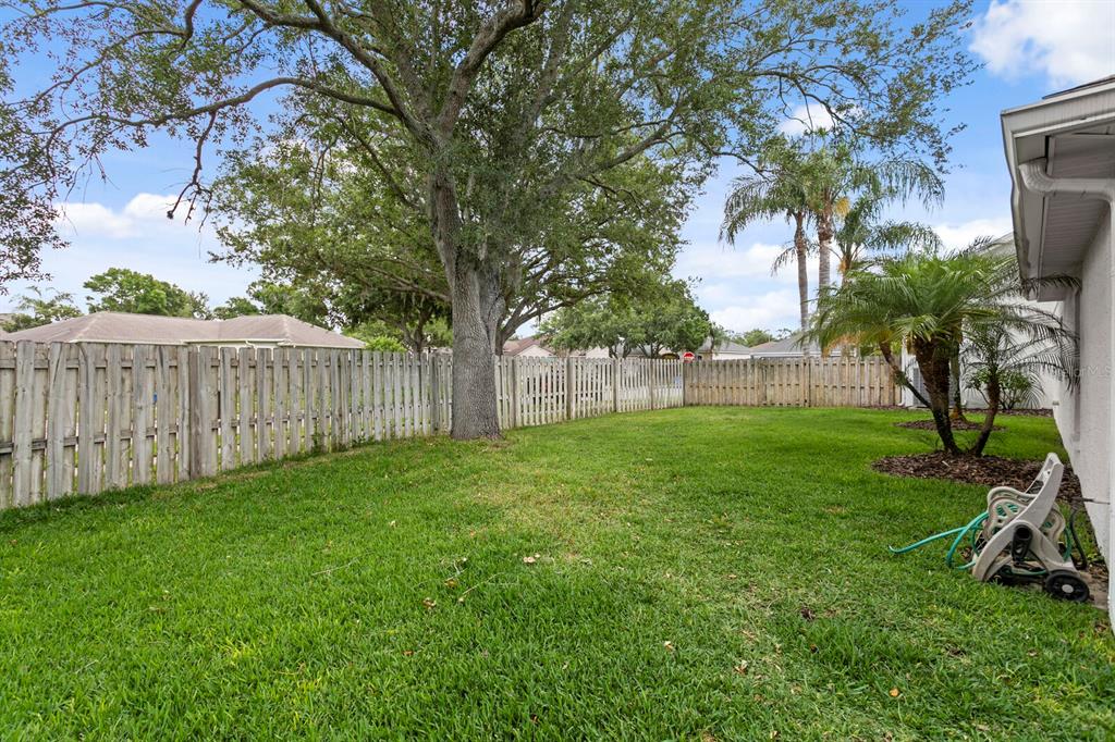 10111 Kingsbridge Avenue Tampa, FL 33626 - Photo 53 of 64 Gallery Image 53