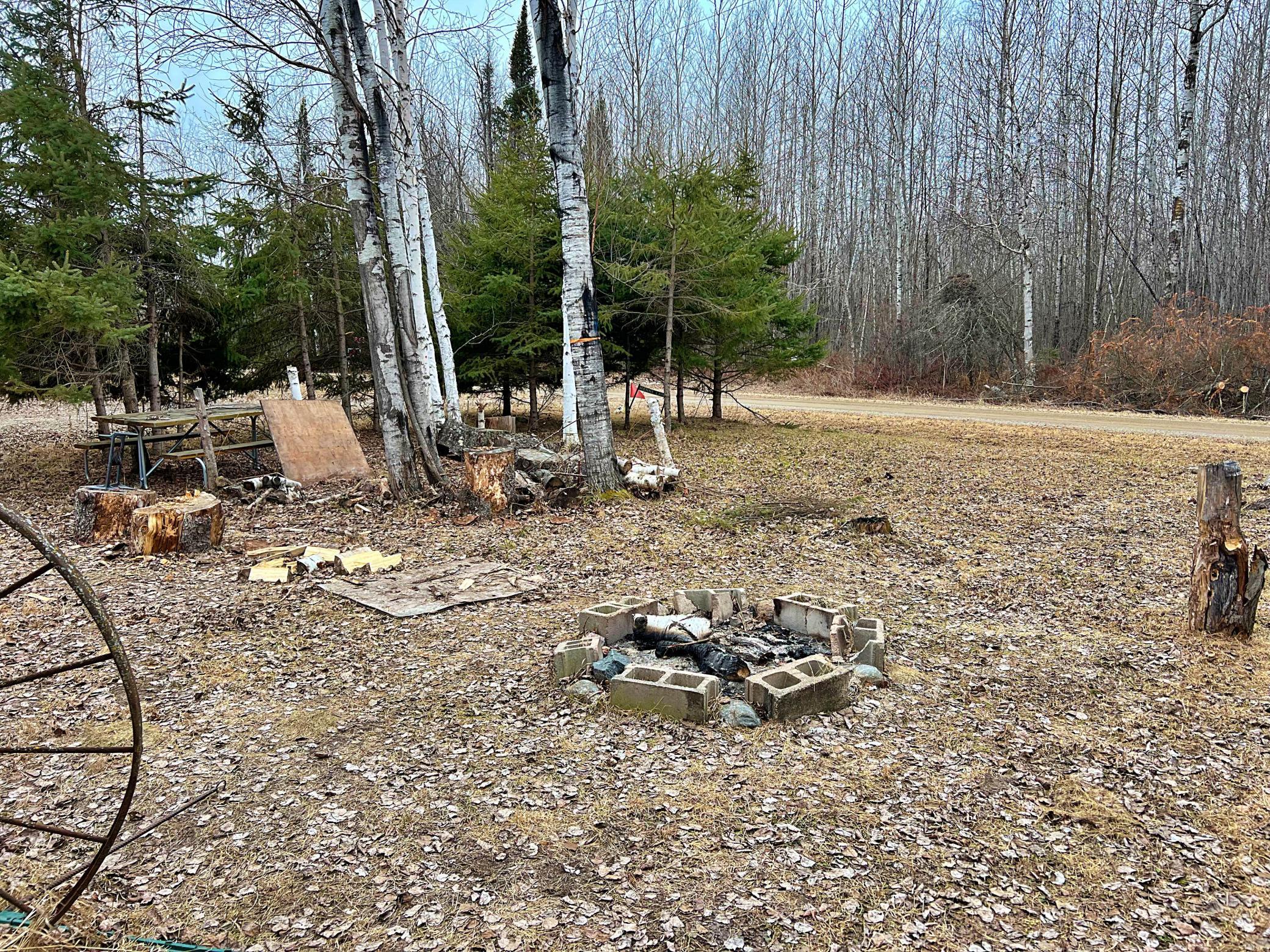 9298 Hingeley Road Meadowlands, MN 55765 - Photo 16 of 37