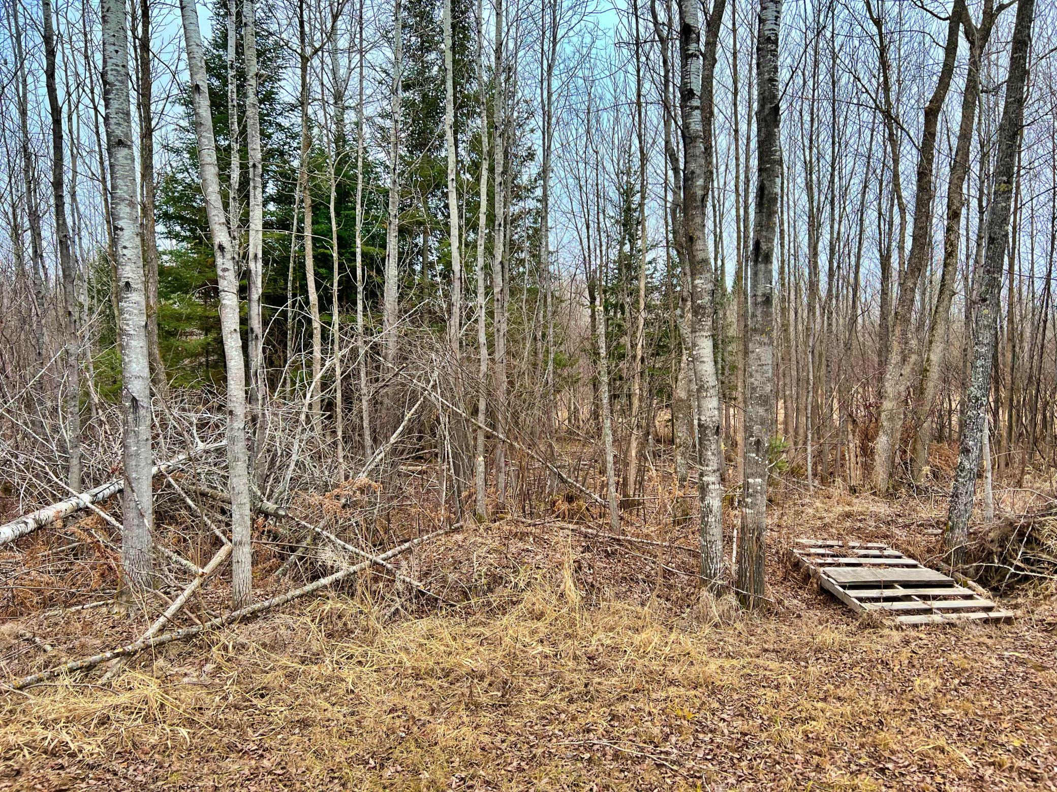 9298 Hingeley Road Meadowlands, MN 55765 - Photo 20 of 37