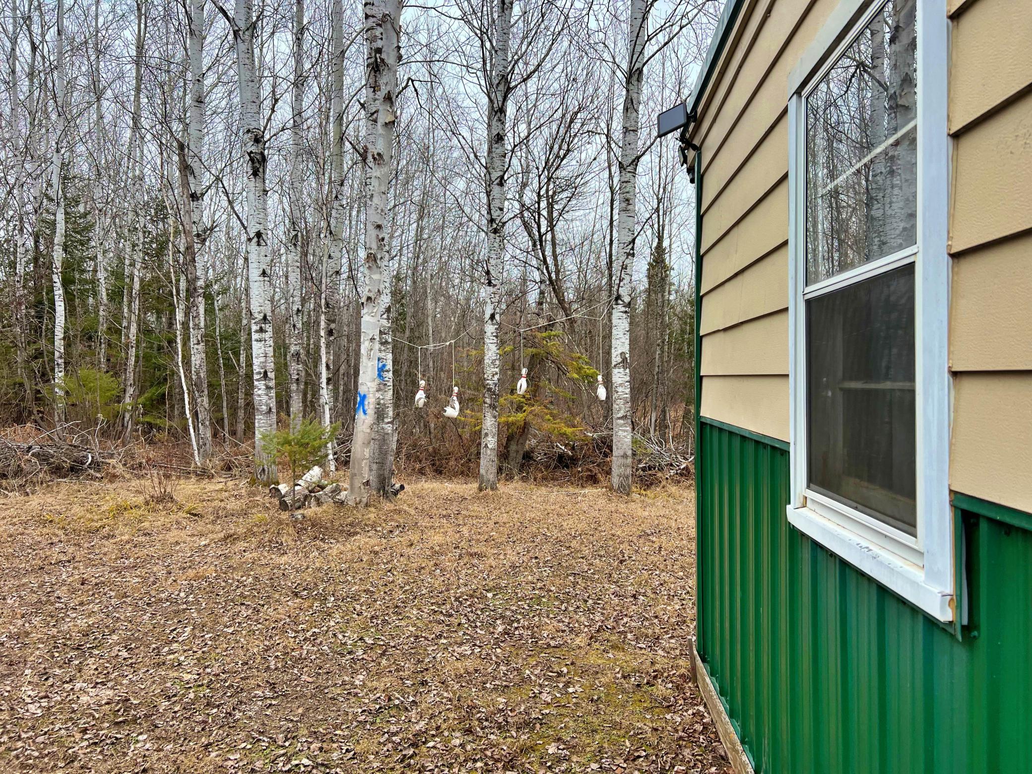 9298 Hingeley Road Meadowlands, MN 55765 - Photo 22 of 37