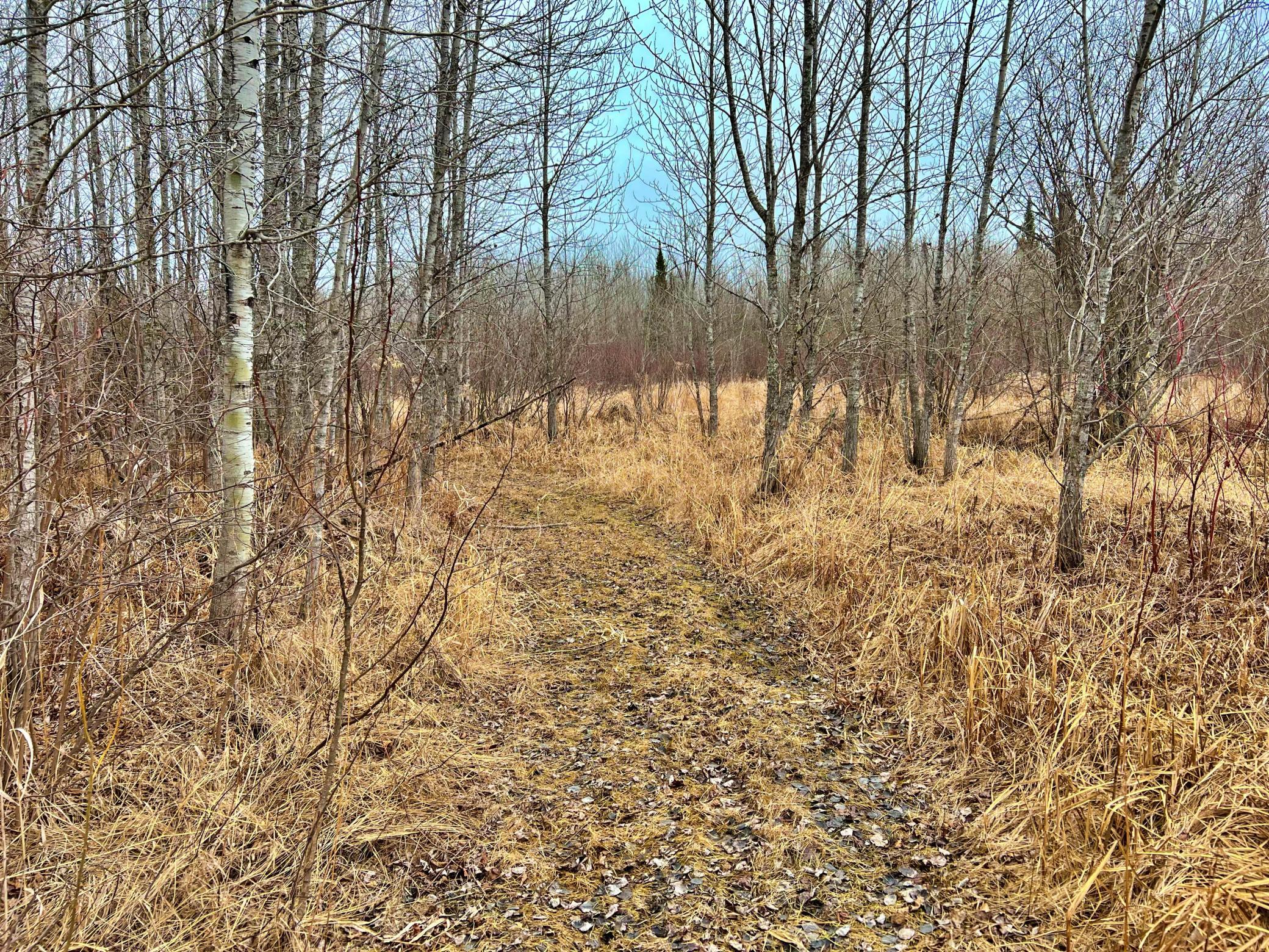 9298 Hingeley Road Meadowlands, MN 55765 - Photo 23 of 37