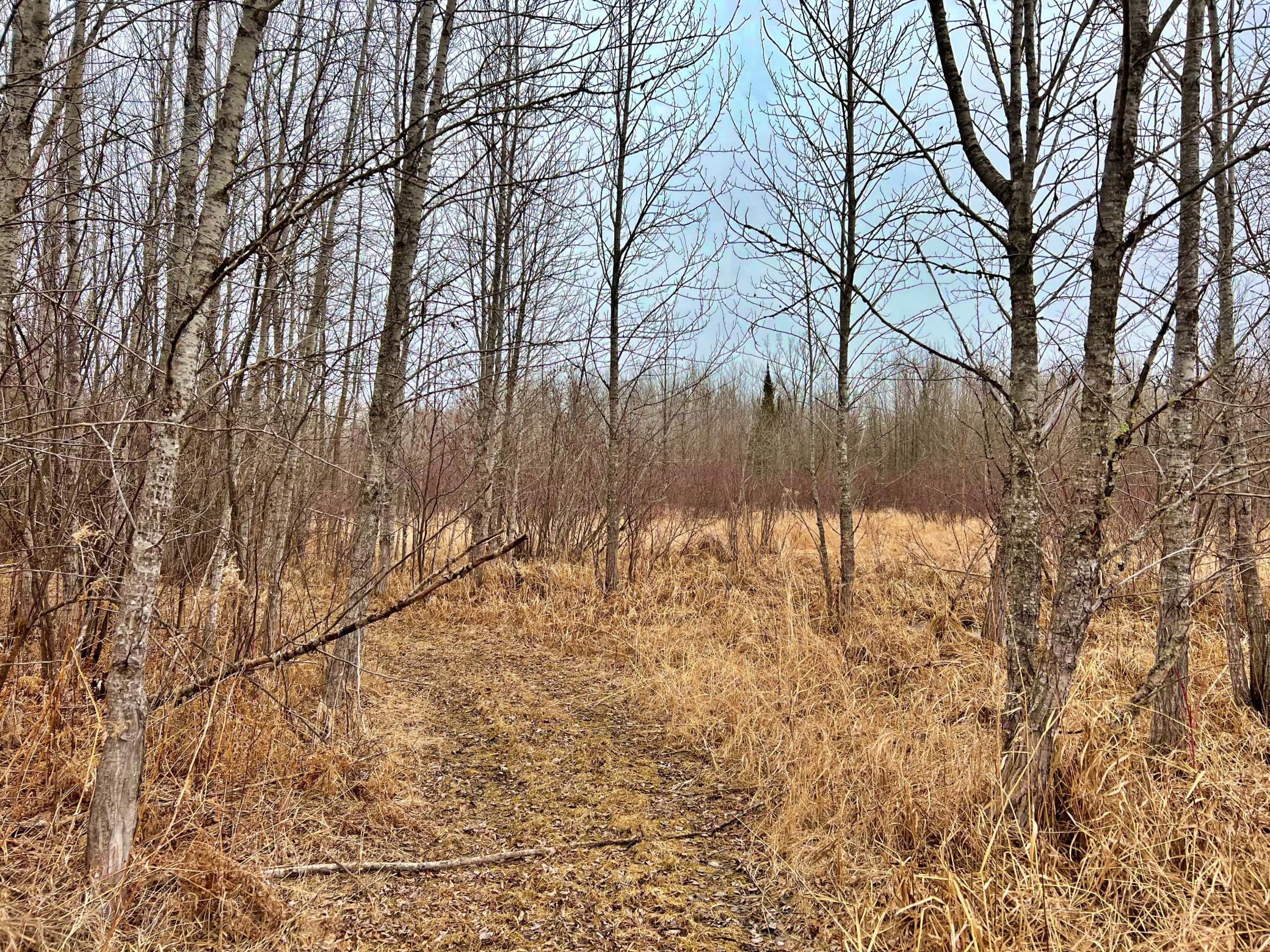 9298 Hingeley Road Meadowlands, MN 55765 - Photo 24 of 37