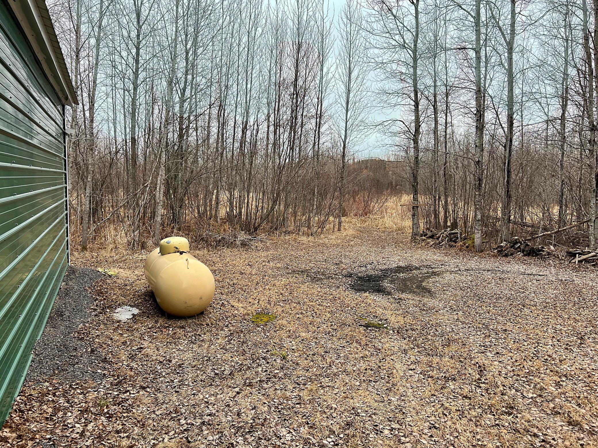 9298 Hingeley Road Meadowlands, MN 55765 - Photo 28 of 37