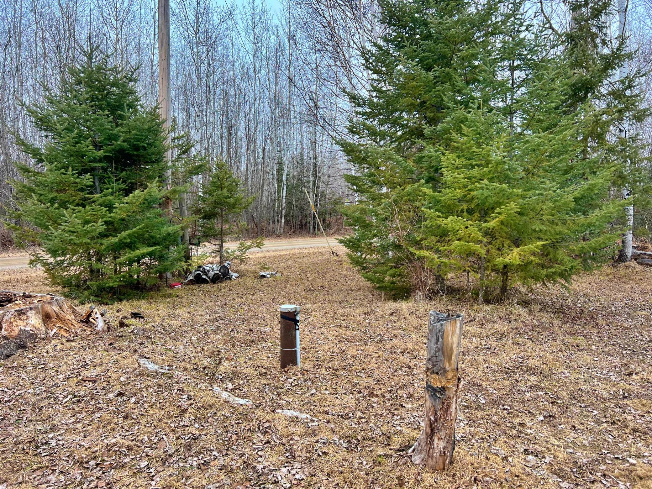 9298 Hingeley Road Meadowlands, MN 55765 - Photo 29 of 37