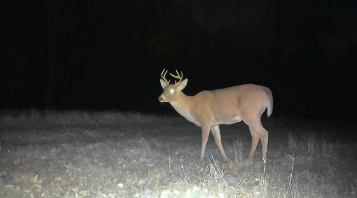 9298 Hingeley Road Meadowlands, MN 55765 - Photo 36 of 37