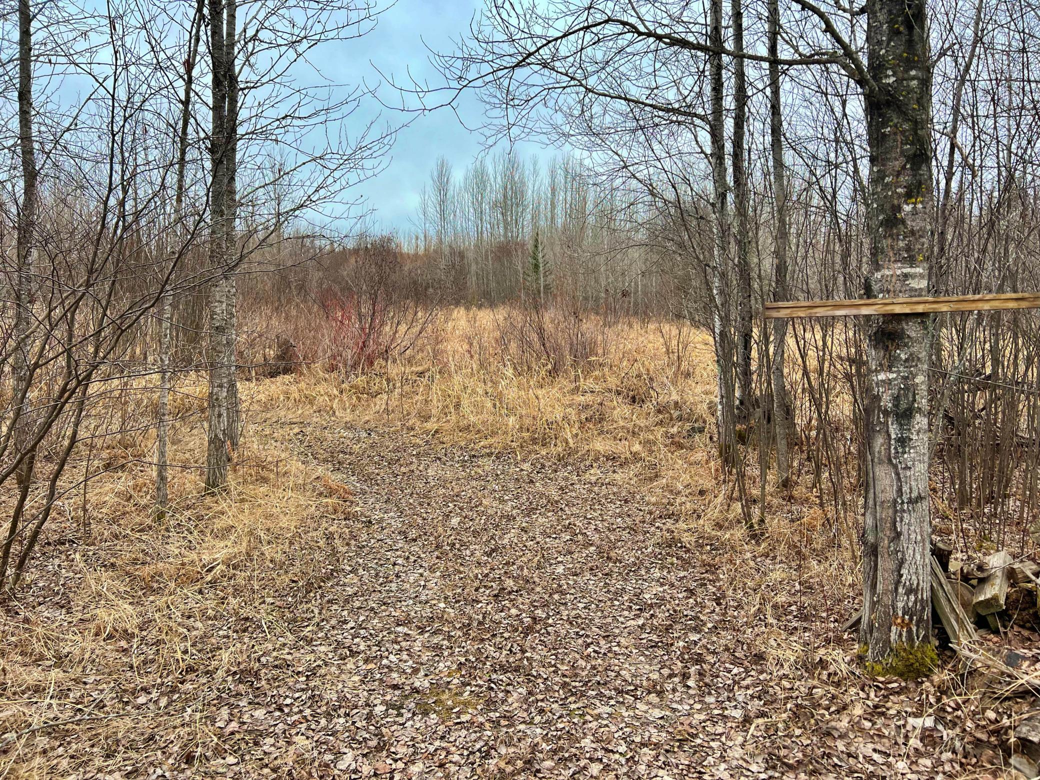 9298 Hingeley Road Meadowlands, MN 55765 - Photo 10 of 37