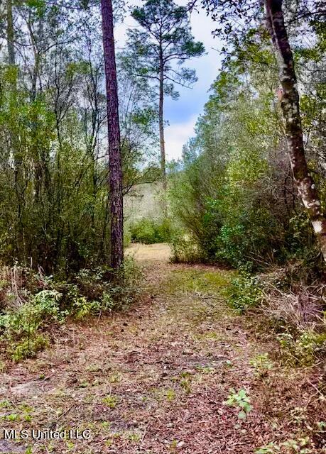 15429 Indian Fork Road Vancleave, MS 39565 - Photo 35 of 63 Trails Abound